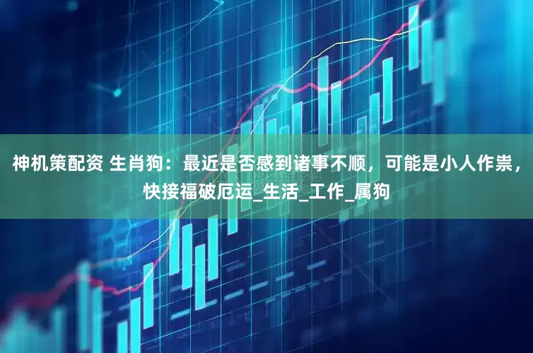 神机策配资 生肖狗：最近是否感到诸事不顺，可能是小人作祟，快接福破厄运_生活_工作_属狗